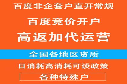 竞价代运营成功案例解析